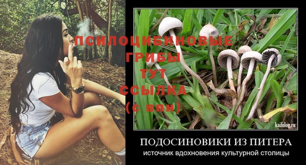 амф Богородицк